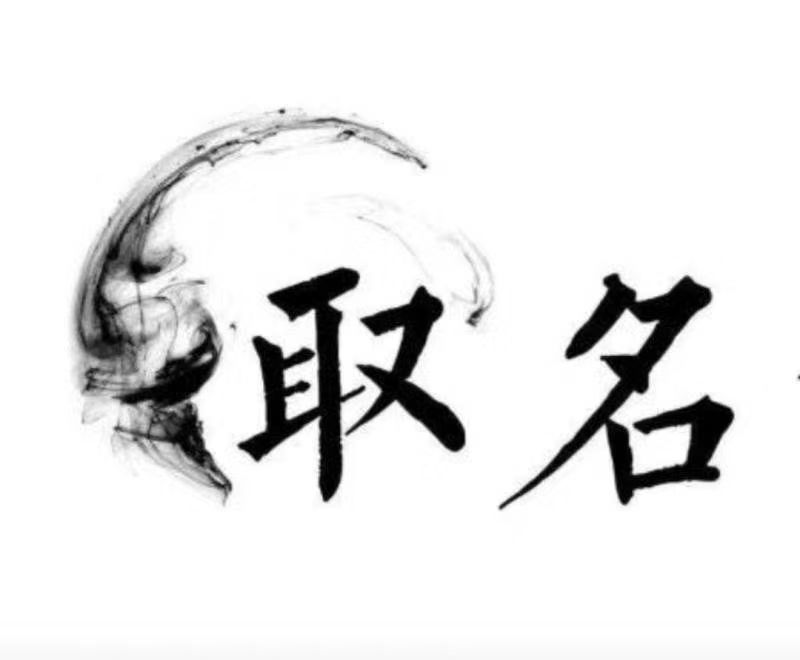  长泰宝宝取名 大师一对一人工起名